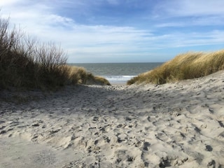 Chalet Wissenkerke Environment 18