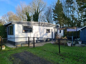 Chalet RBR 1253 - Beach Resort Kamperland