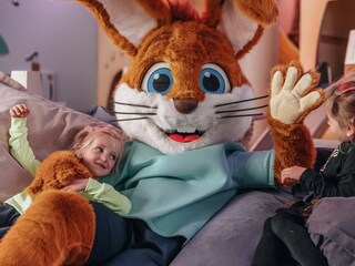 Chalet Wissenkerke  14