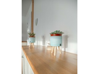 Apartment Ploudalmézeau  45