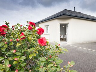 Holiday house Ploudalmézeau Outdoor Recording 5