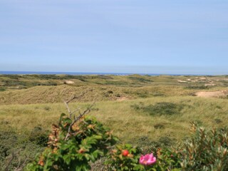 Holiday house Egmond aan Zee Environment 29