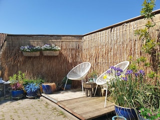 Ferienhaus Ternaard Außenaufnahme 6