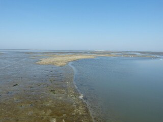 Casa per le vacanze Ternaard Ambiente 34