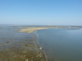Ferienhaus Ternaard Umgebung 33