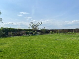 Ferienhaus Ternaard Außenaufnahme 3