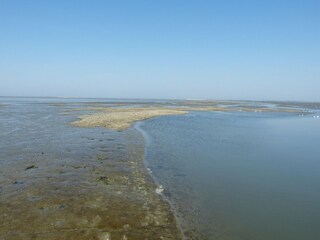 Holiday house Ternaard Environment 35