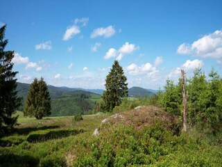 Ferienhaus Winterberg Umgebung 31