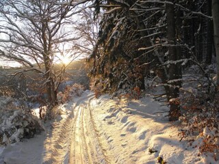 Vakantiehuis Winterberg Omgeving 32