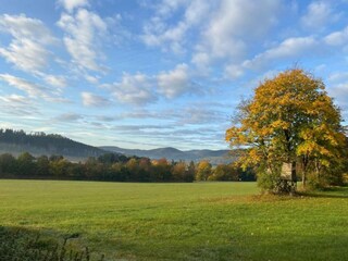 Vakantiehuis Winterberg Omgeving 25