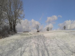 Vakantiehuis Winterberg Omgeving 29
