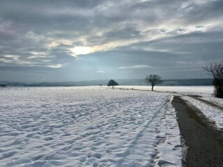Vakantiehuis Winterberg Omgeving 34