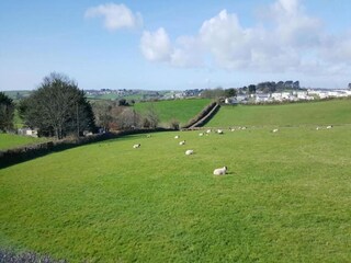 Caravan Polperro Omgeving 10