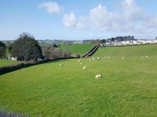 Caravan Polperro Omgeving 16