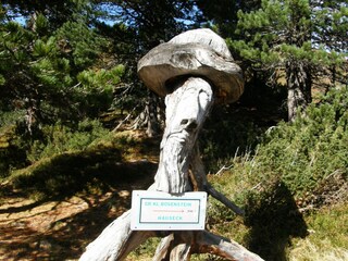 Casa per le vacanze Hohentauern Ambiente 26