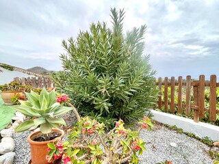 Ferienhaus Frigiliana Außenaufnahme 8