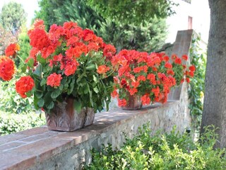 Casa per le vacanze Buti  40