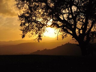 Casa per le vacanze Buti Ambiente 37