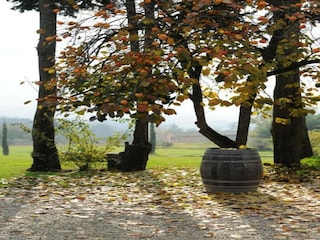 Vakantiehuis Buti Omgeving 24