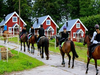Ferienhaus Puck Umgebung 16