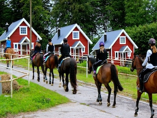Vakantiehuis Puck Omgeving 16