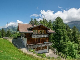 Chalet Adelboden Außenaufnahme 2