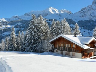 Chalet Adelboden Außenaufnahme 9