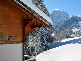 Chalet Adelboden Außenaufnahme 10