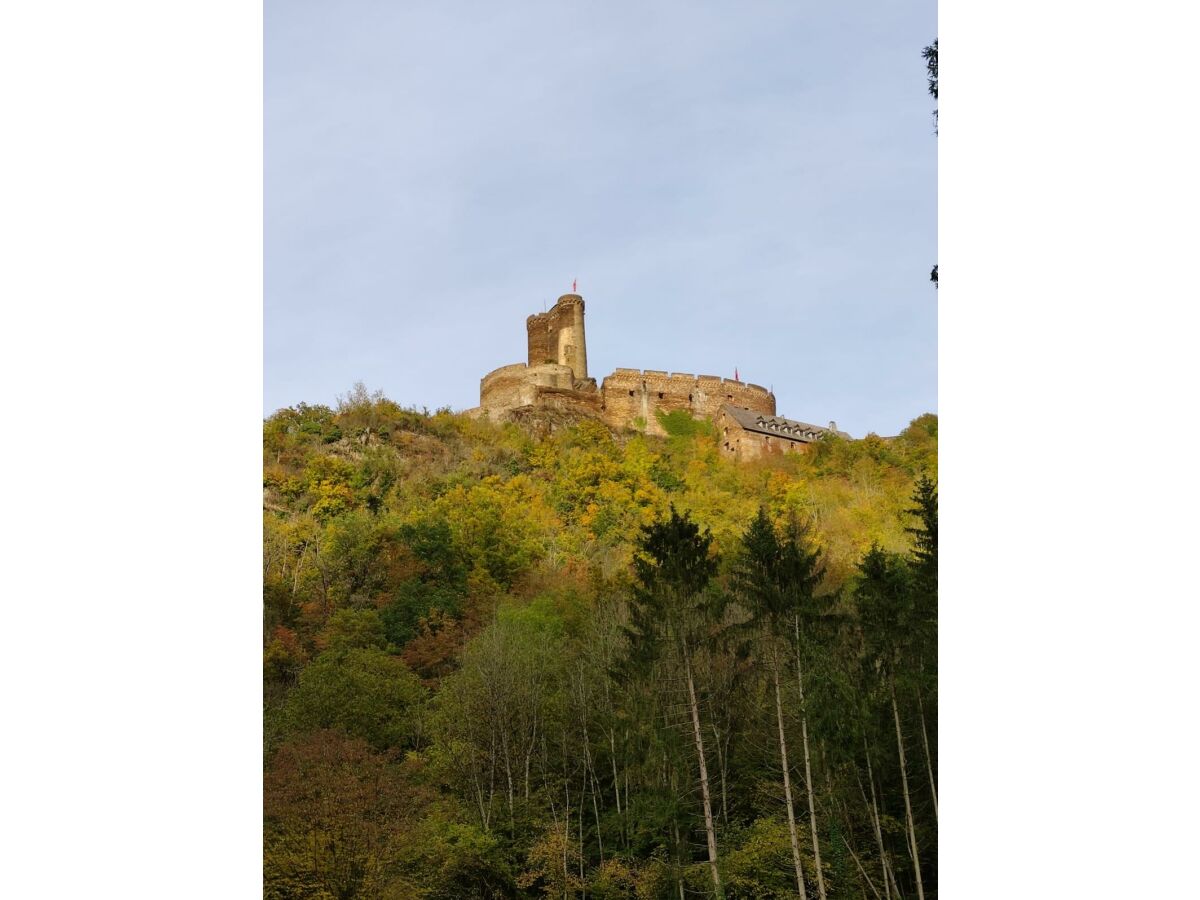 Blick auf die Ehrenburg