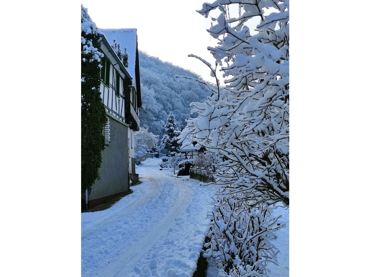 Ehrenburgertal im Winter / Schnee