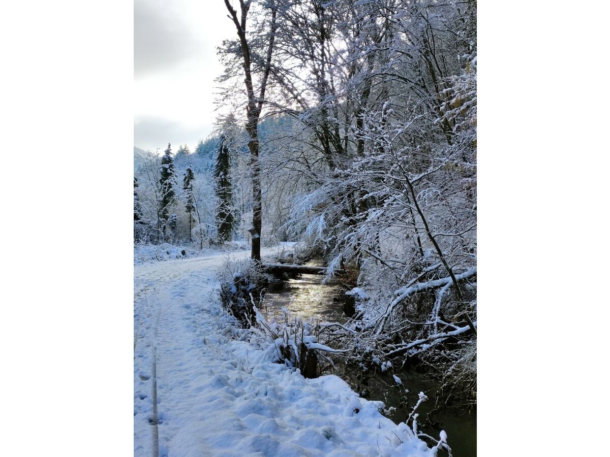 Landschaft im Winter / Schnee