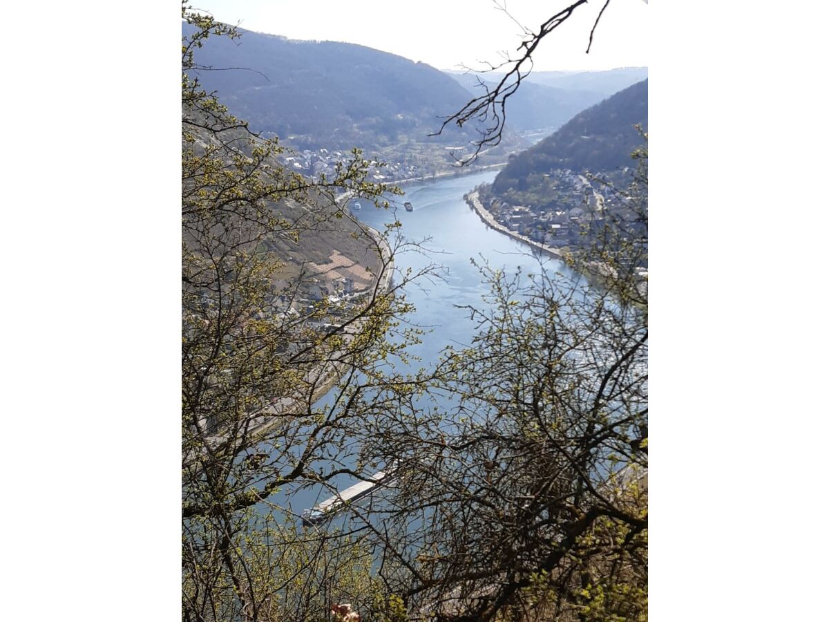 Moselblick im Frühjahr / Wandermöglichkeiten