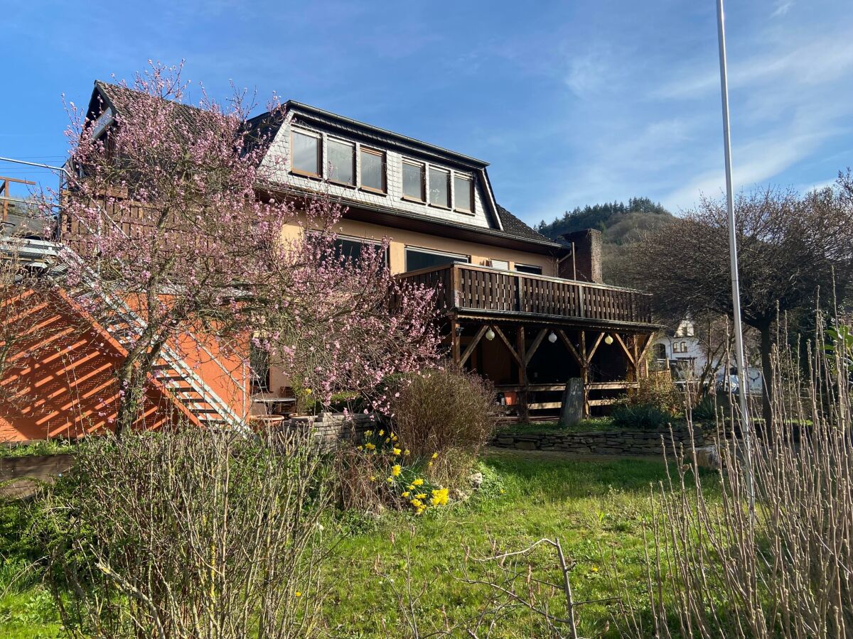 Apartment Ferienwohnung Moselglück