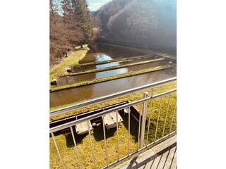 Blick aus dem Hotelzimmer
