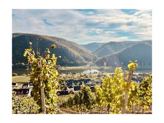 Landschaft