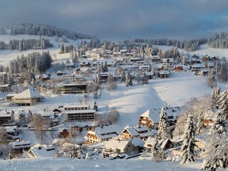 Holiday apartment Todtnauberg Environment 31