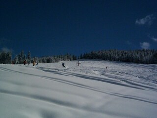 Holiday apartment Todtnauberg Environment 38