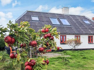 Ferienhaus Vesløs Außenaufnahme 8