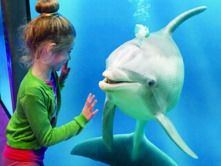 Casa per le vacanze Breskens Ambiente 19