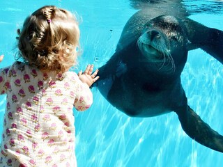 Casa per le vacanze Breskens Ambiente 21