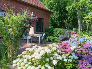 Blumenmeer