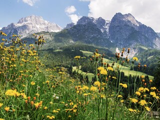 die Leoganger Gras- und Steinberge