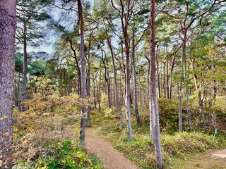 Casa per le vacanze Baabe Ambiente 18