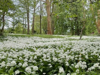 Casa per le vacanze Baabe Ambiente 19