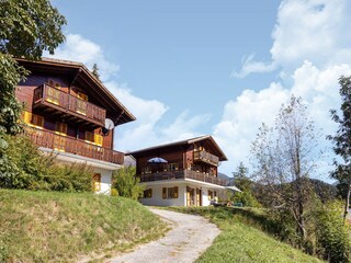 Ferienhaus Fiesch Außenaufnahme 8
