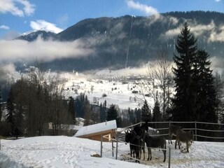 Holiday house Fiesch Environment 40