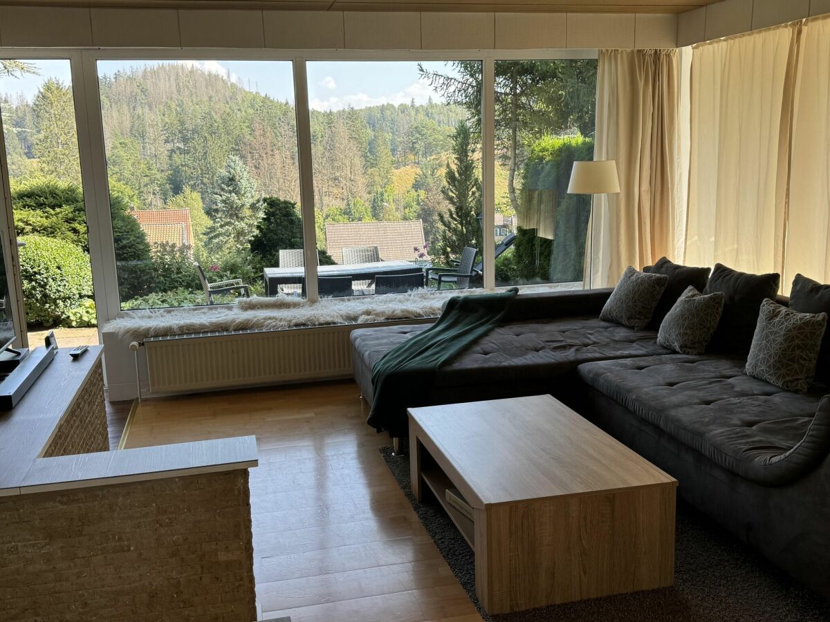 Apartment Altenau im Oberharz Ausstattung 1