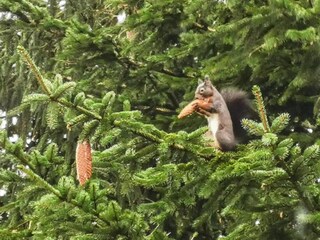 Appartamento Altenau im Oberharz  40
