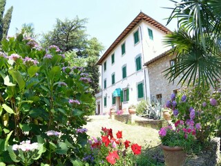Ferienhaus Uzzano Außenaufnahme 4