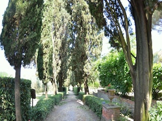 Ferienhaus Uzzano Außenaufnahme 5